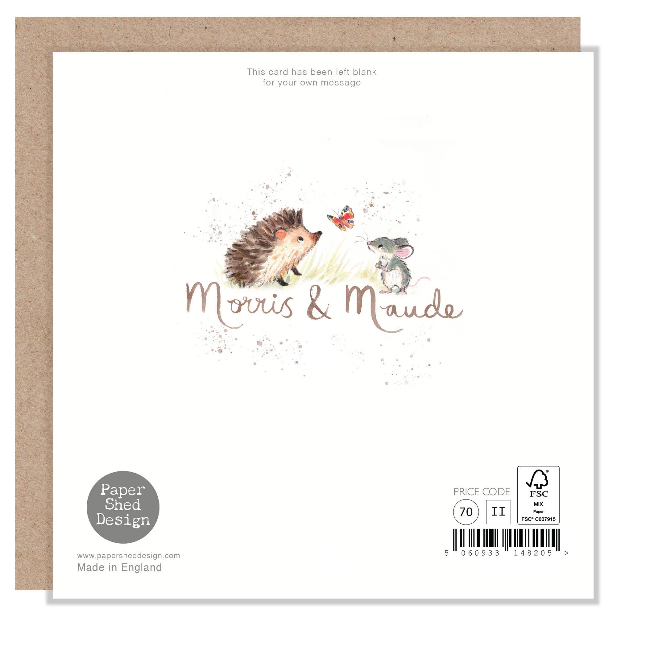 Paper Shed Design Ltd – wholesale Födelsedagskort – Födelsedagskort - söt igelkott i blomkorg - MME021