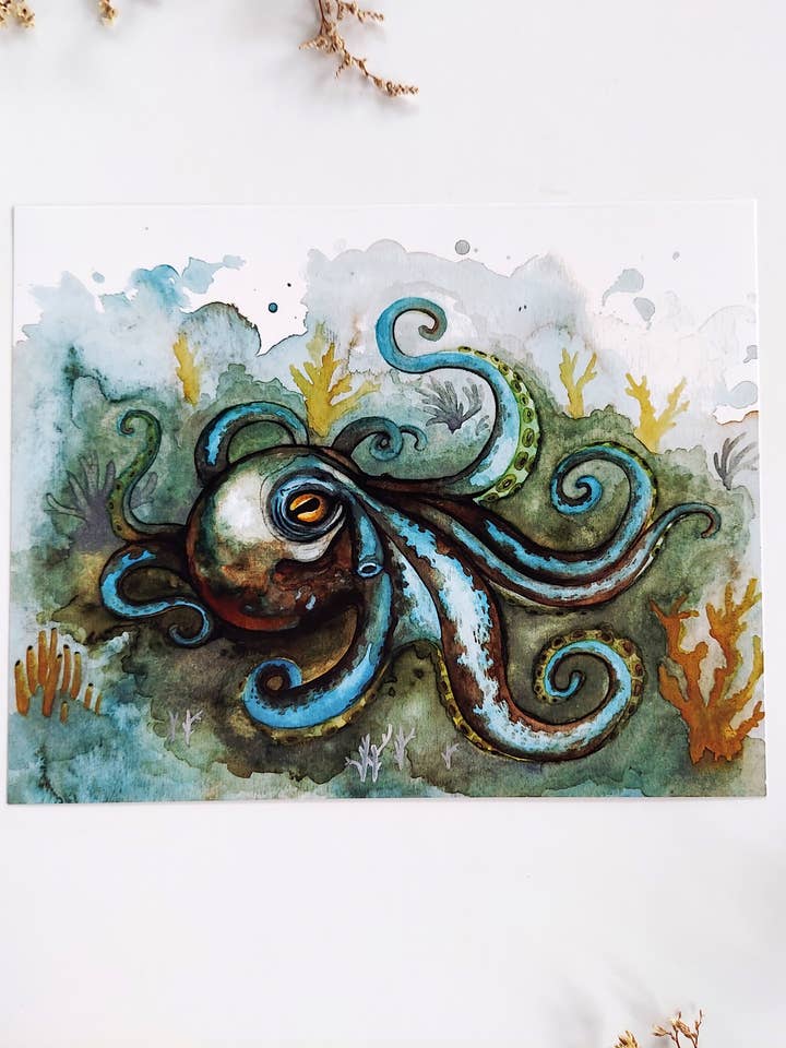 Tirage d'art - Octopus pour la vente par Elaine in the Membrane