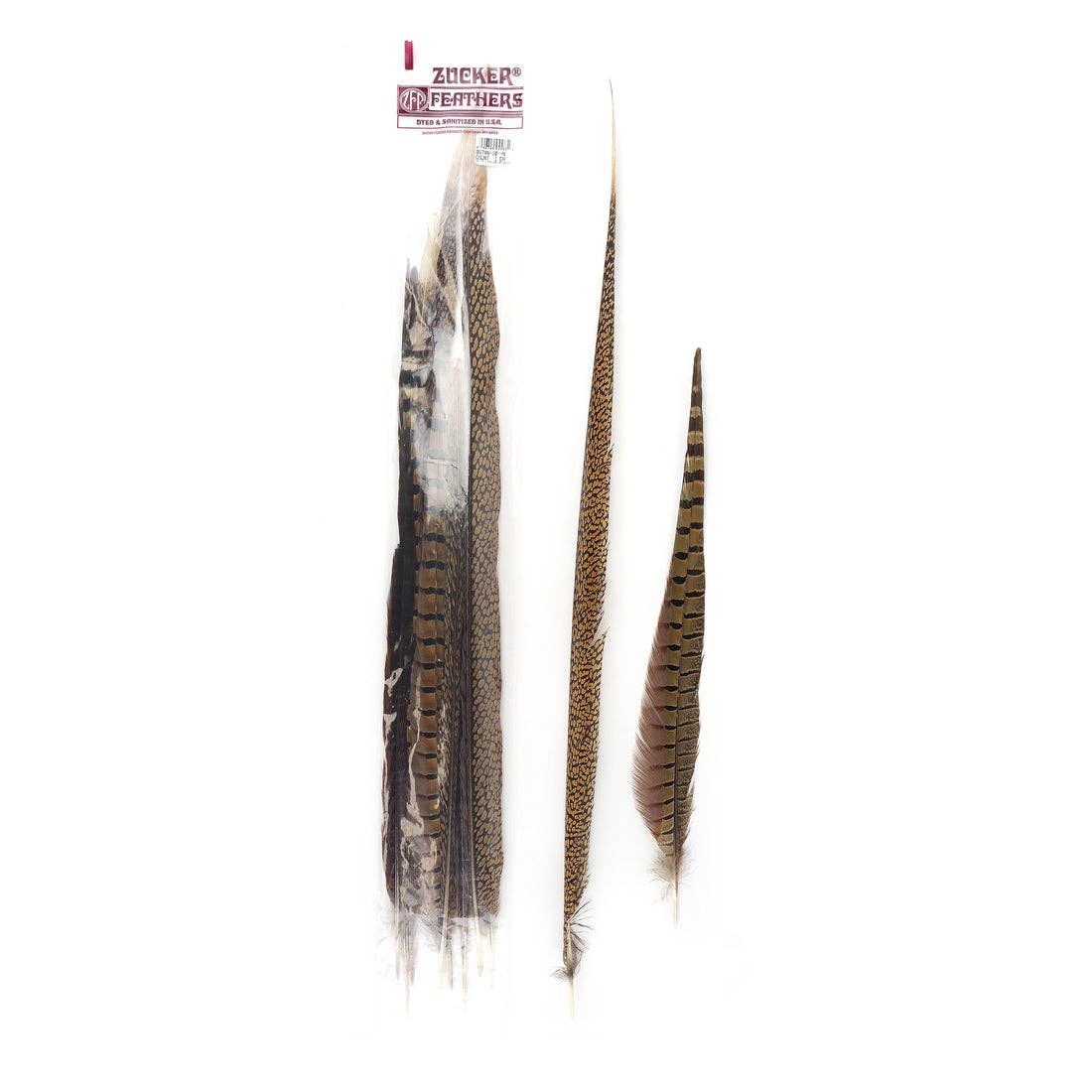 Zucker Feather Products - Wholesale Feathers - Pheasant Tails Assorted Natural -16-30"4