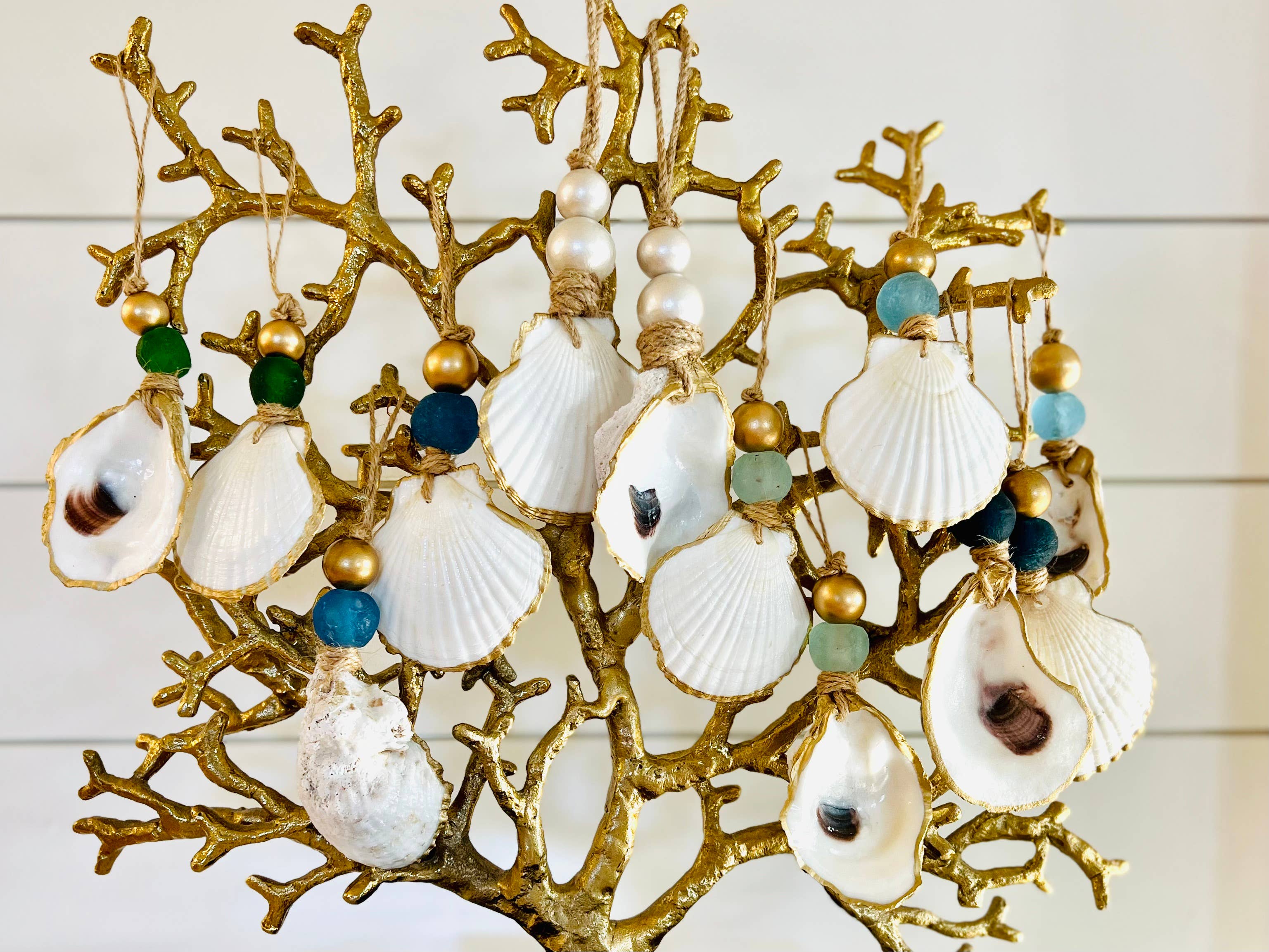 The Gilded Shell - Wholesale Ornament - Hint of Pearl Ornament - Single3