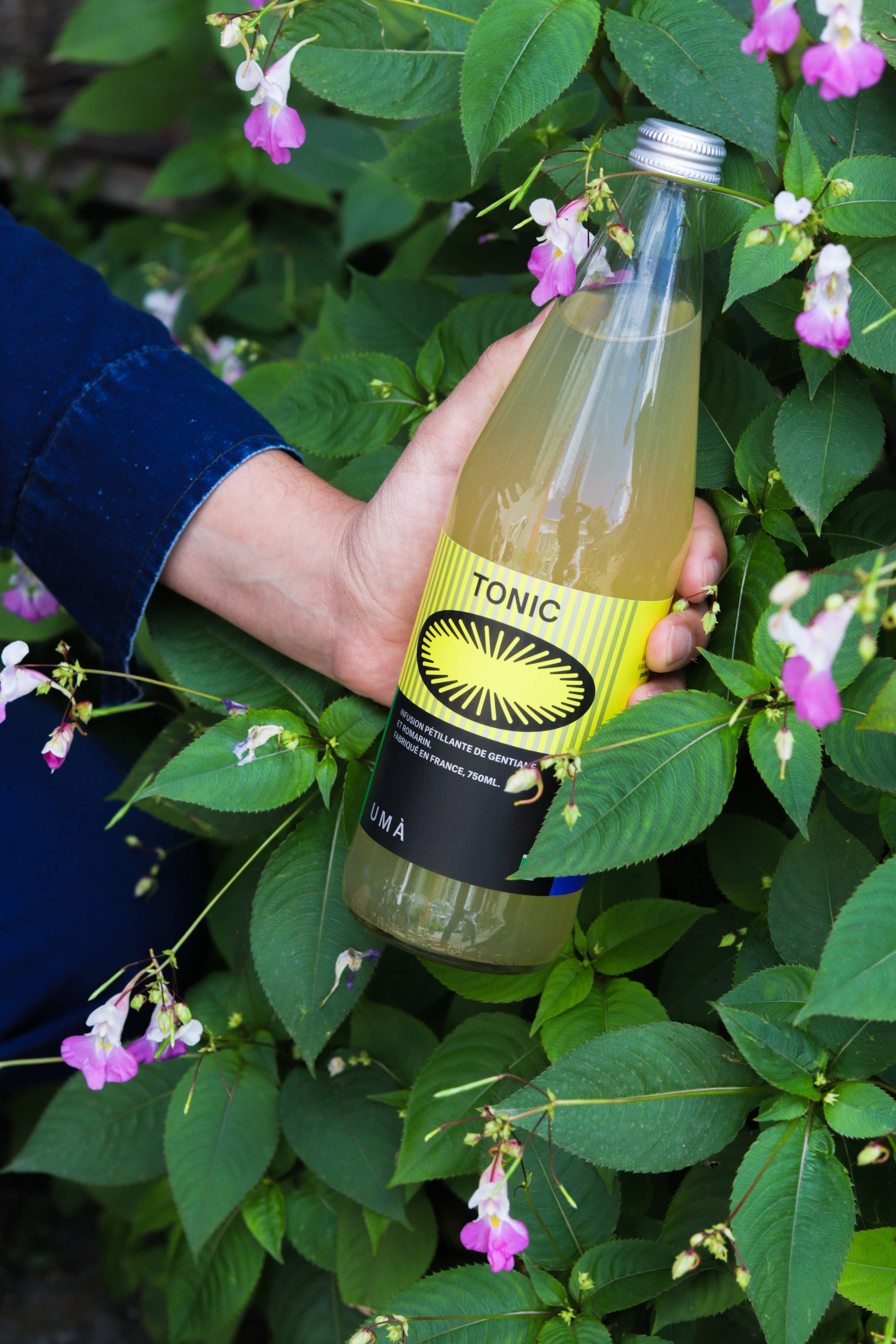 UMÀ - Wholesale Soda/Carbonated Drink - Organic tonic - 6 x 75cl1