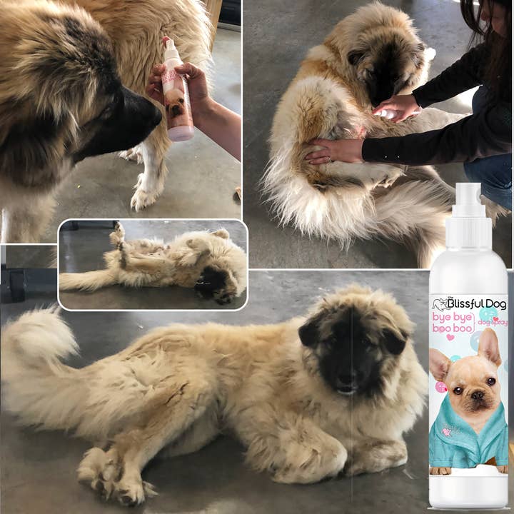 The Blissful Dog - Vente Spray – chien - Bye Boo Boo Spray pour la peau de chien irritée5