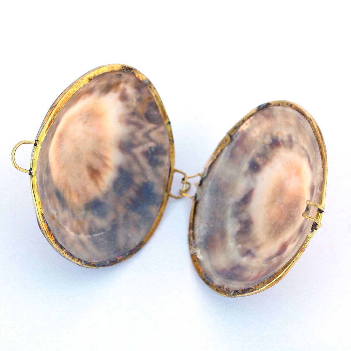 California Seashell Company - Wholesale Jewelry Dish - Limpet Seashell Coin Purse - Shell Box4