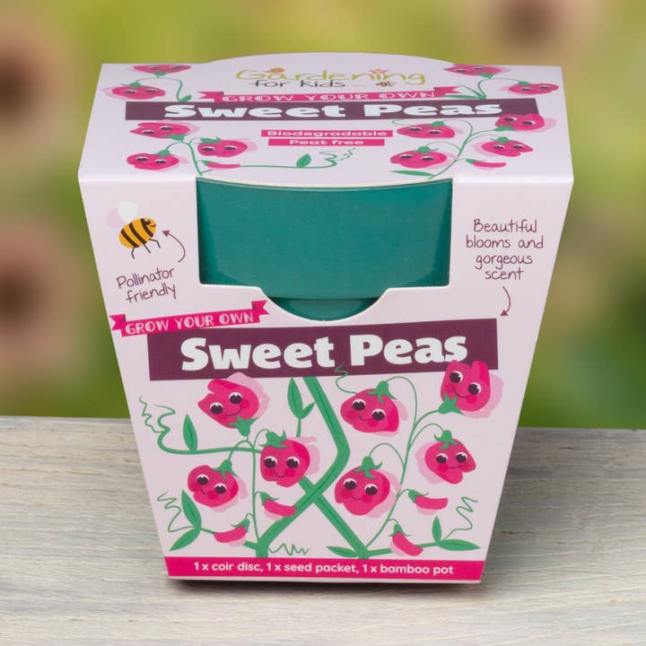 Children's Grow Your Own Sweet Pea Growing Kit for wholesale by Gardening for Kids Ltd
