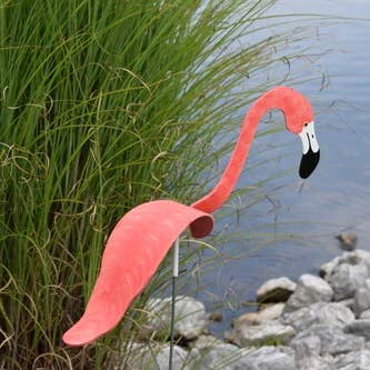 Coral Flamingo for wholesale by Florida Dancing Birds