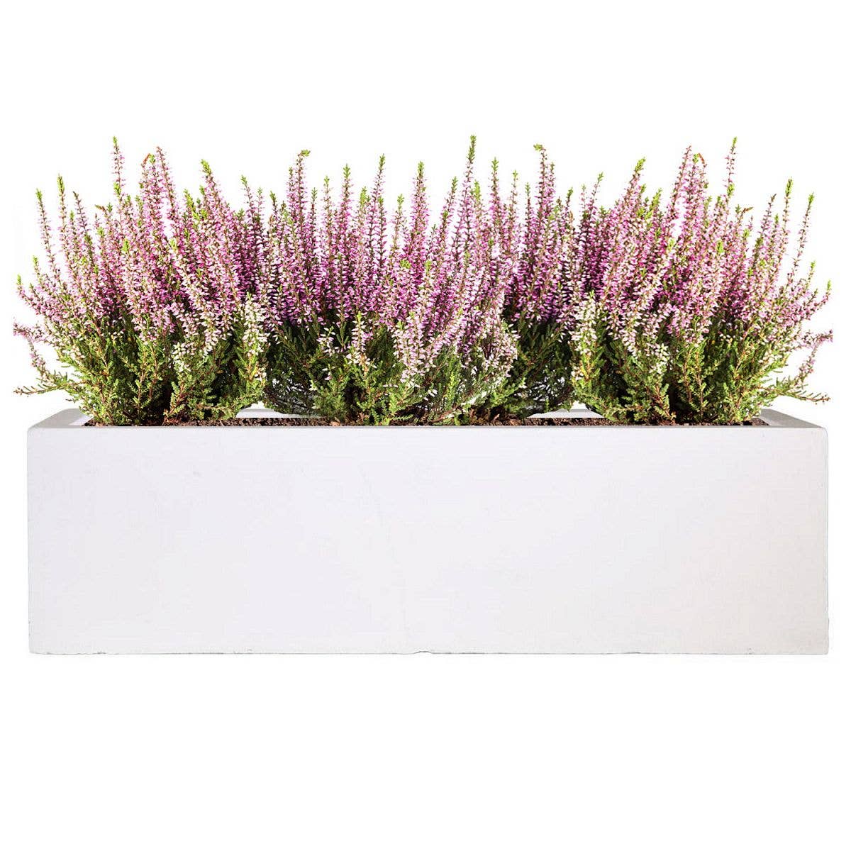Idealist Lite Fibrestone Planters – wholesale Planter box – IDEALIST Window Box Light Concrete Planter11