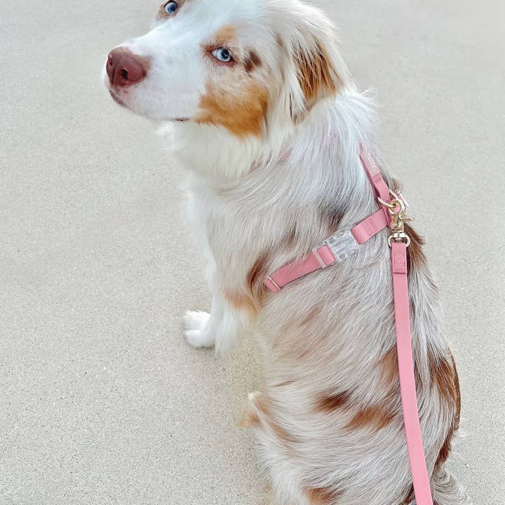 SUNNY TAILS - Wholesale Pet Leash - Dog - Perfect Pink Waterproof Cloud Dog Leash