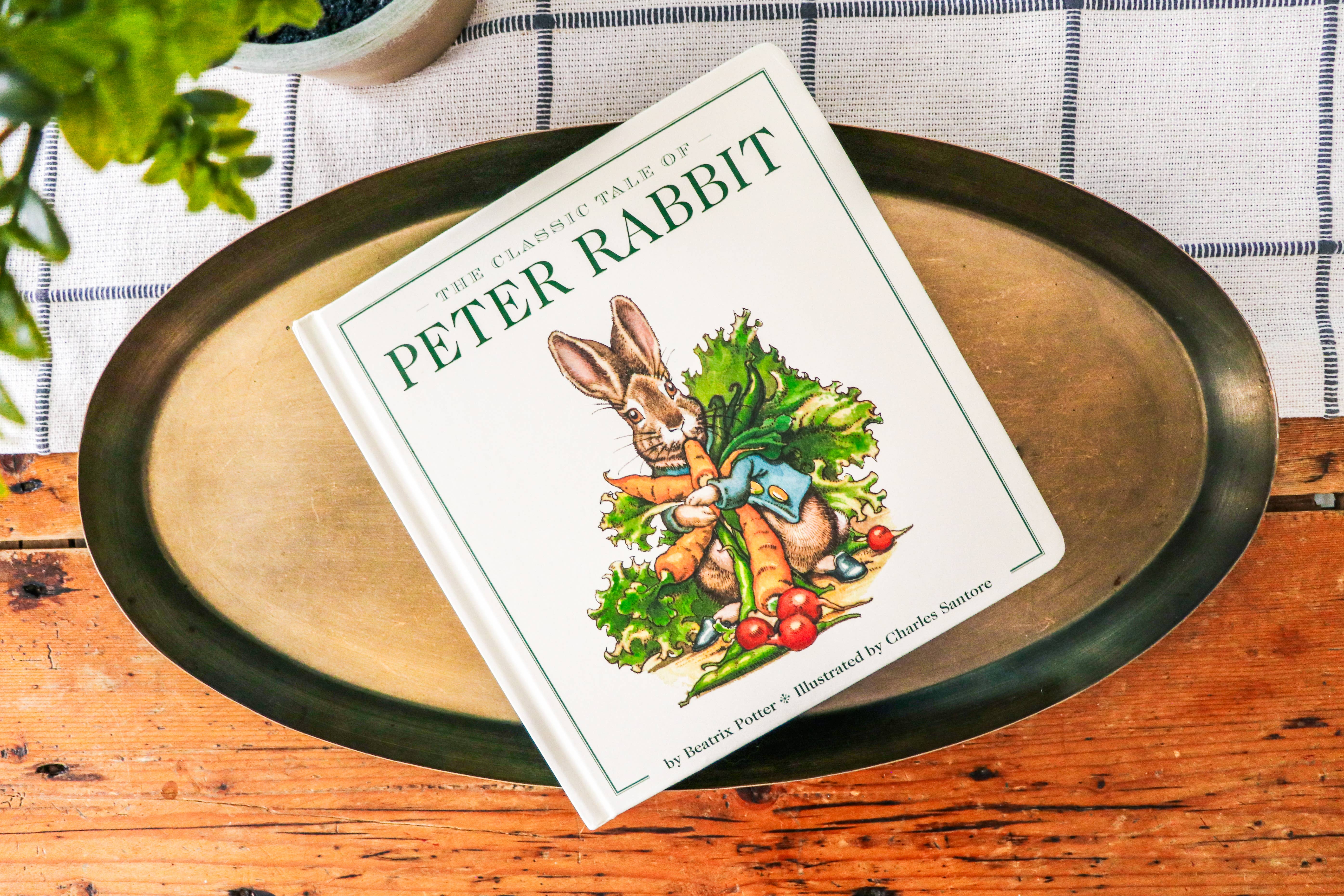 HarperCollins Focus - Wholesale Baby & Toddler Book (0-2) - The Peter Rabbit Oversized Board Book10