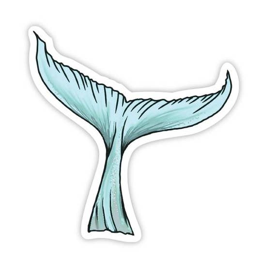 Mermaid Tail for wholesale by Big Moods