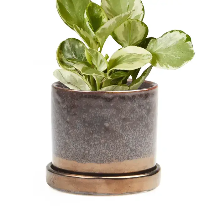 Chive UK - Wholesale Plant Pot - Minute - Glazed Modern Ceramic Pot with Saucer27