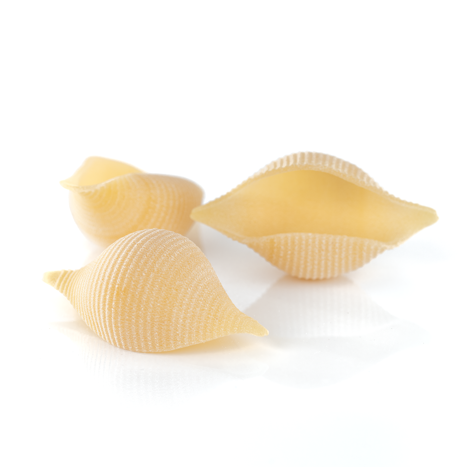 Pastificio dei Campi - Vente Pâtes - Pâtes Conchiglioni de Gragnano IGP - 500 g 100 % Made in Italy2