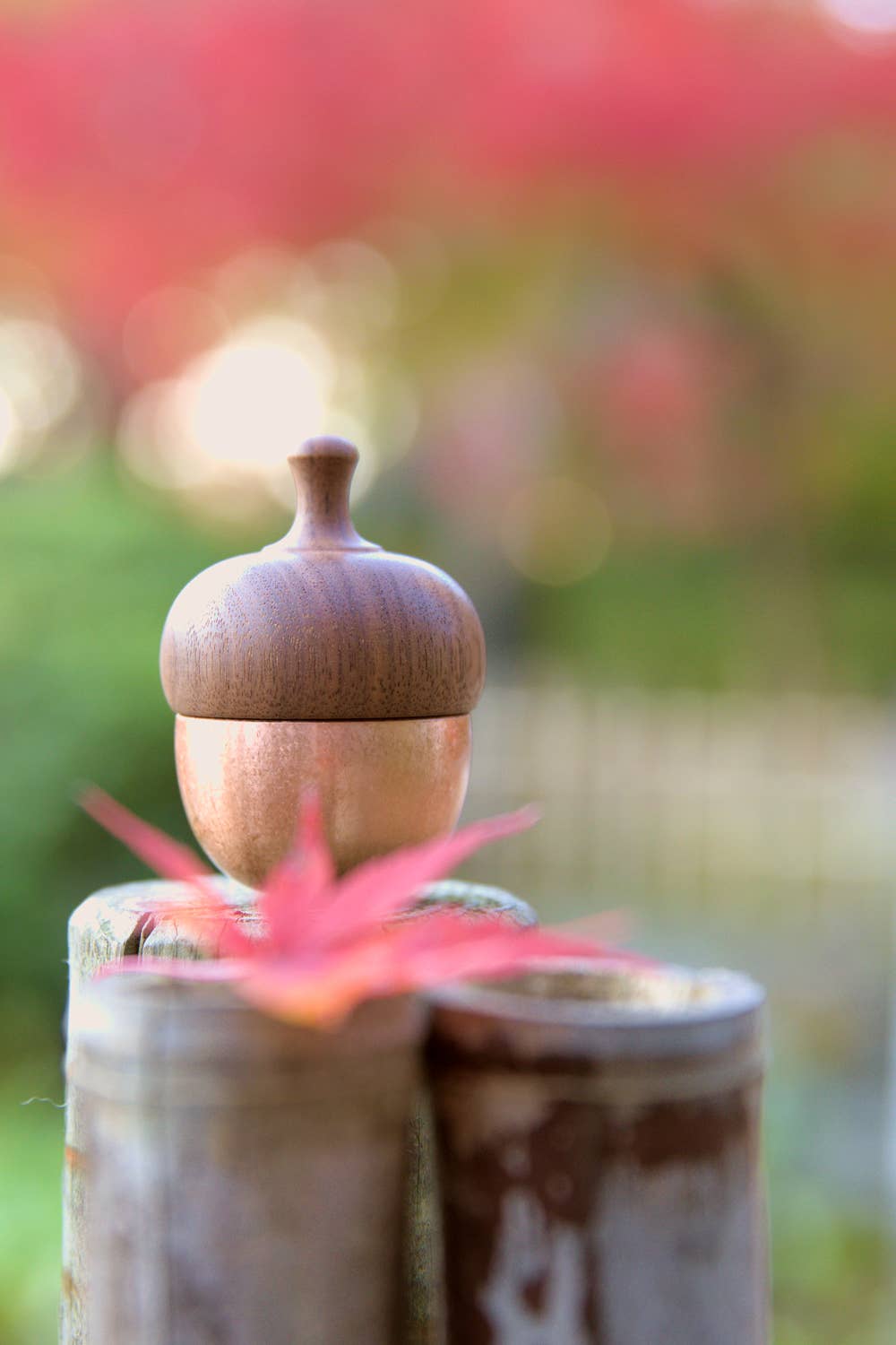 Japacolle — Japan Collections | See Latest News in "About" - Wholesale Bell - KSN Madoka Dongurin5