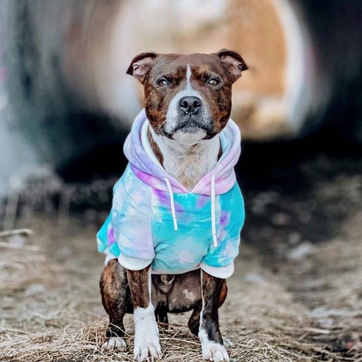 Spark Paws - Wholesale Pet Hoodie - Dog - Velvet Dog Hoodie - 90s Retro