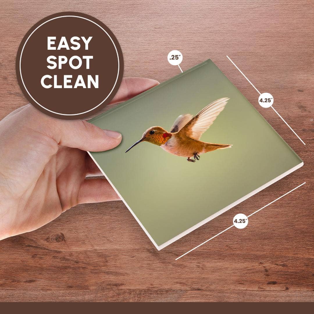 3dRose – wholesale Coasters – 3dRose, Rufous hummingbird, Selasphorus rufus. , Coaster6