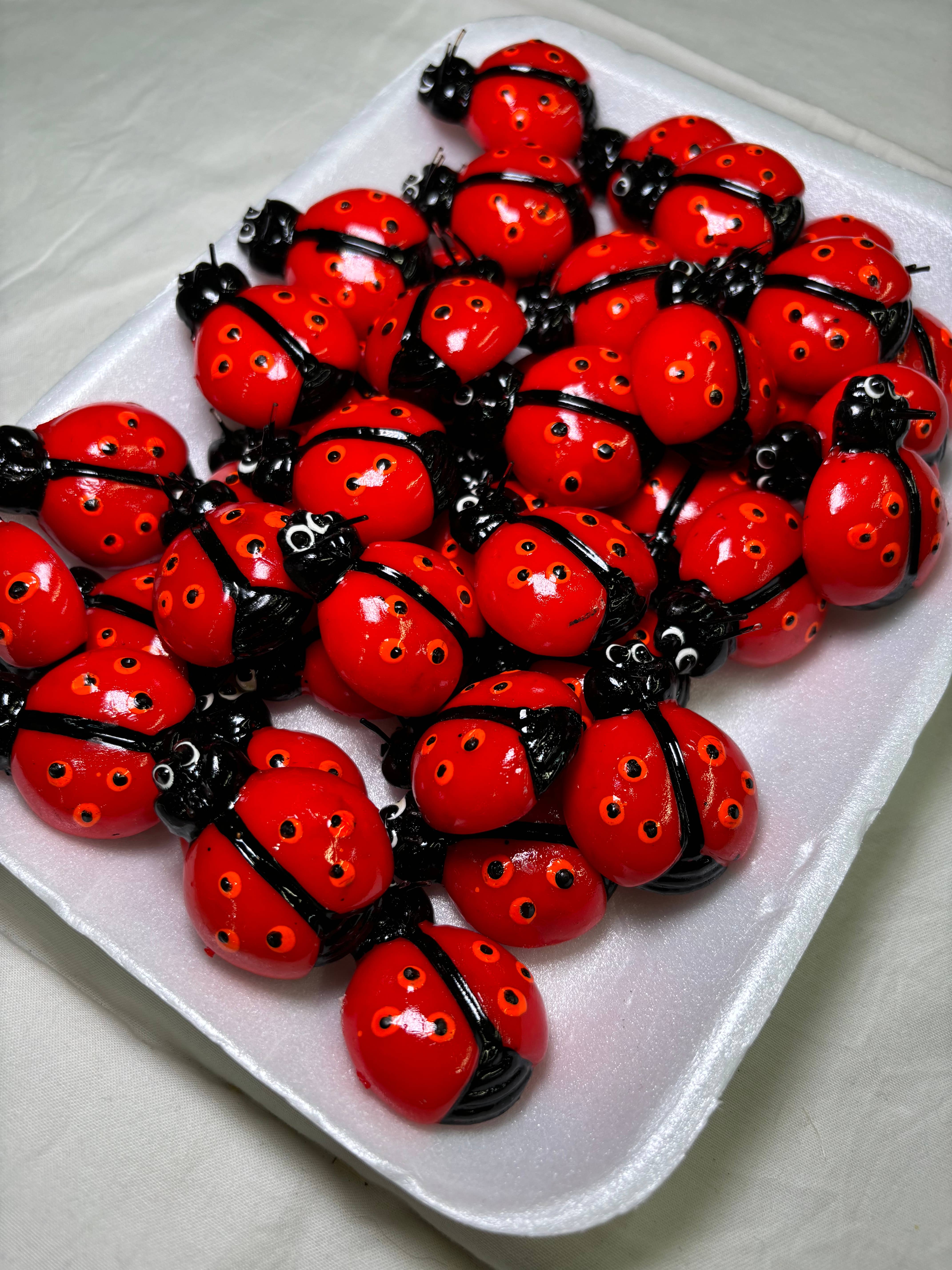 Magnets Market - Wholesale Magnet - Ladybug Kitchen Magnet1