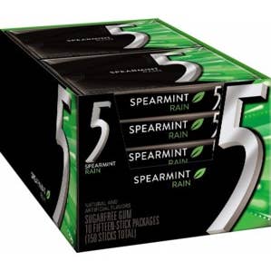 Hudson Meat Company - Wholesale Chewing Gum - Spearmint Rain - Wrigley's0