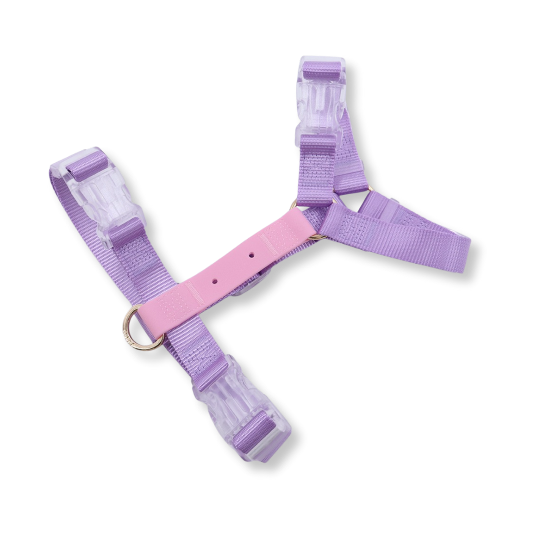 Furei Pets - Vente Harnais – chien - Harnais Moodies8