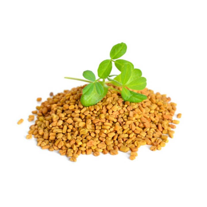 Fenugreek Seeds (Methi) for wholesale by Aiva Products