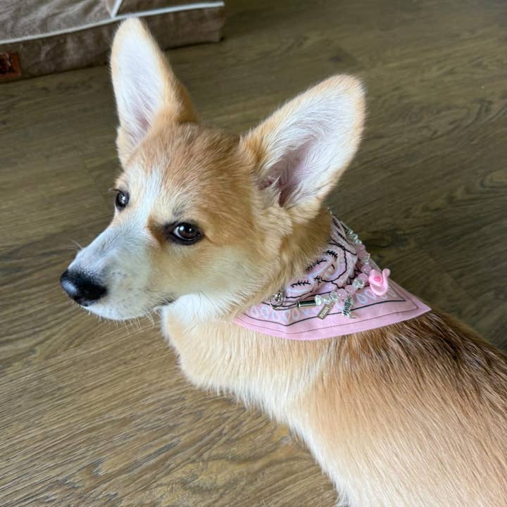 Aura - Wholesale Pet Bandana - Dog - Rosie Jane Bandana-Collar1