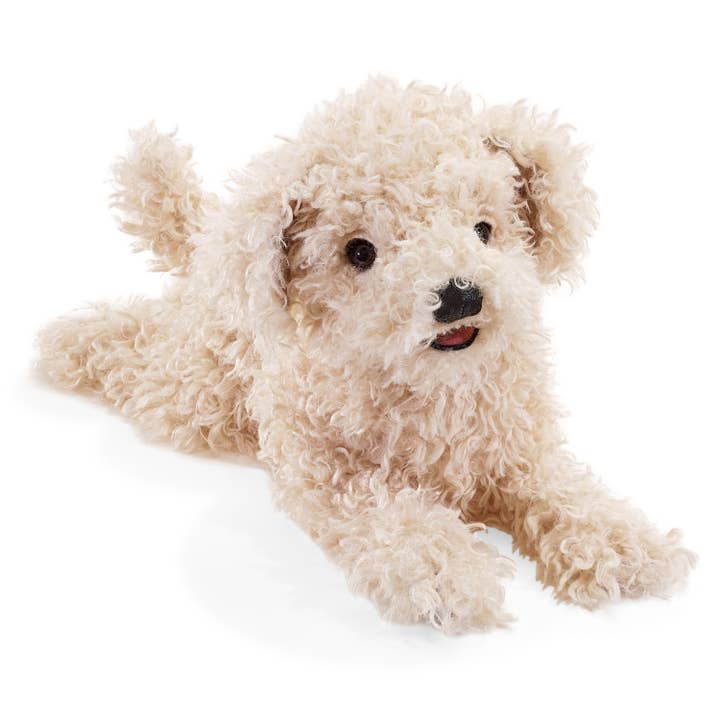 Chiot caniche blanc / Chiot caniche, blanc 3241, marionnette Folkmanis pour la vente par FOLKMANIS-PUPPETS