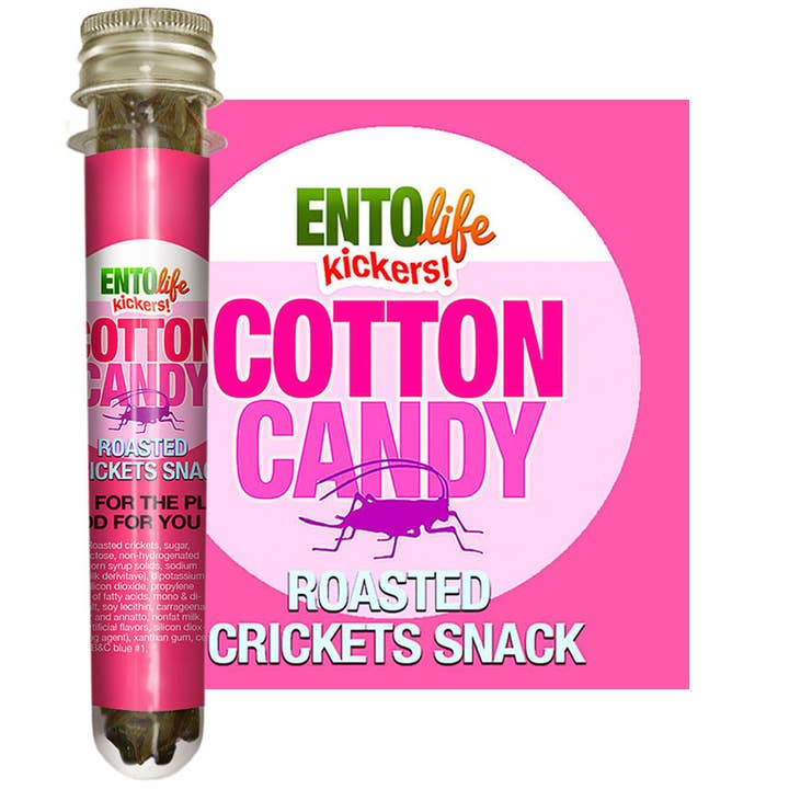 EntoLife Edible Insects - Crickets, Ants & Scorpions! - Wholesale Hard Candy - Mini-Kickers Flavored Cricket Snacks - Cotton Candy