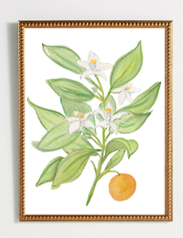 Lauren Q Design Studio - Wholesale Art Print - Orange Blossom Botanical Watercolor Print1