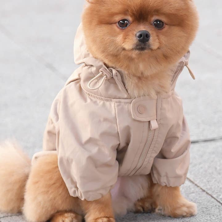 BROOKLYN//DOG CLOTHING//APPAREL for wholesale by Lambwolf Collective