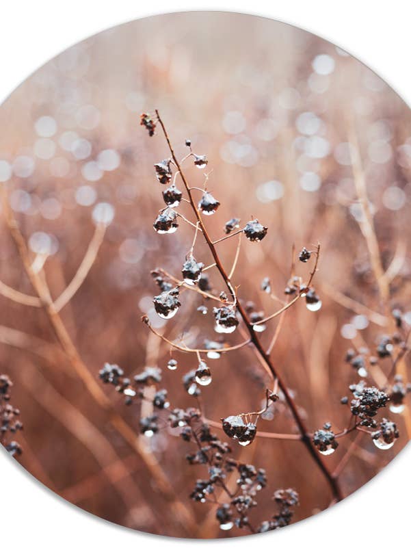 Muurcirkel cosy flower winter for wholesale by Label2X B.V.