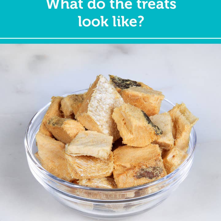 Fig & Tyler - Wholesale Pet Treats - Dog - Freeze-Dried Alaskan Salmon1