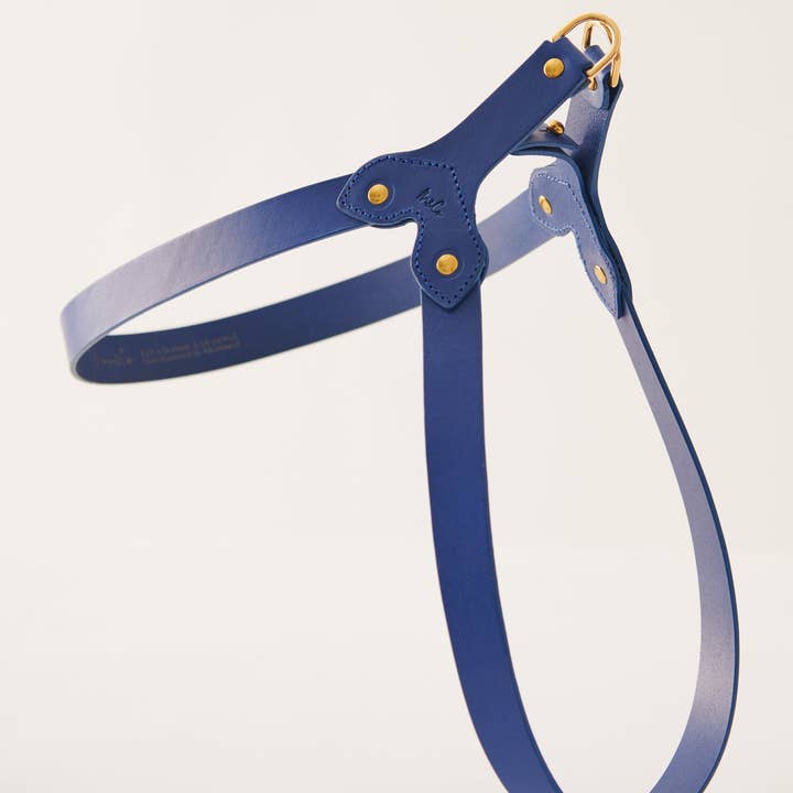 Muso & Co – Großhandel Haustiergeschirr – Hund – Klassisches Geschirr aus pflanzlich gegerbtem Leder42