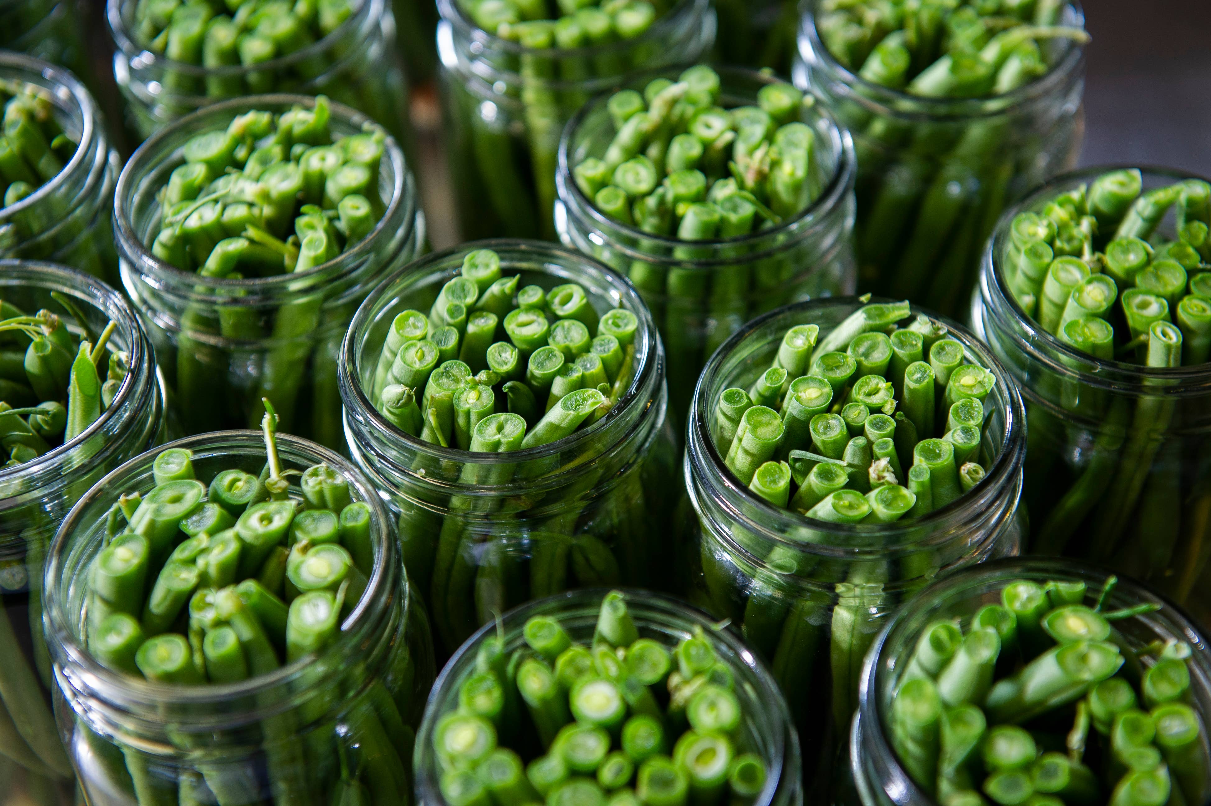 Mountain Girl Pickles - Wholesale Pickled Vegetables - Pickled Green Beans1