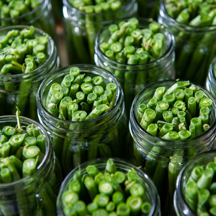 Mountain Girl Pickles - Wholesale Pickled Vegetables - Pickled Green Beans1