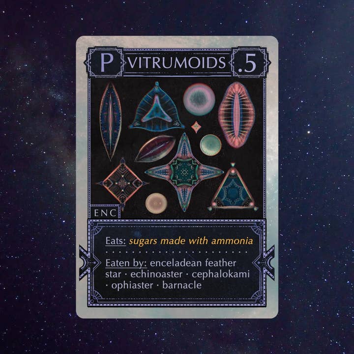 Montrose Biology - Wholesale Card Game - Ecologies: Solar System4