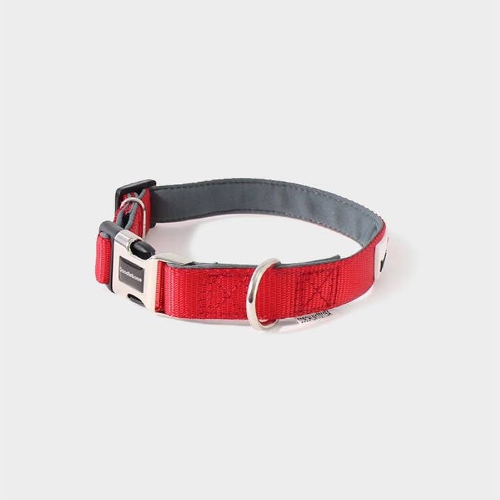 4cats Heimtierbedarf GmbH - Vendita all'ingrosso Collare - Cani - Collare Imbottito Doodlebone® Bold - 4 colori, 5 misure