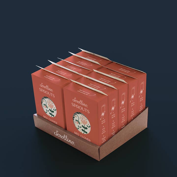 Scrollino - Wholesale DIY Craft Kit - Kids - Activity & Growing Kit - Scrollino Red Clover Sprouts4