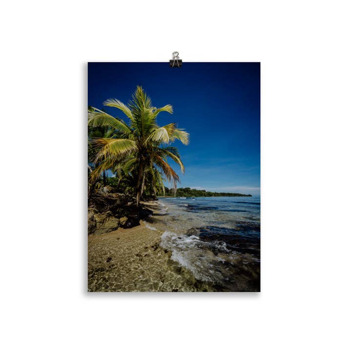 buttihondo. - Wholesale Poster - Panama Pt Poster I2