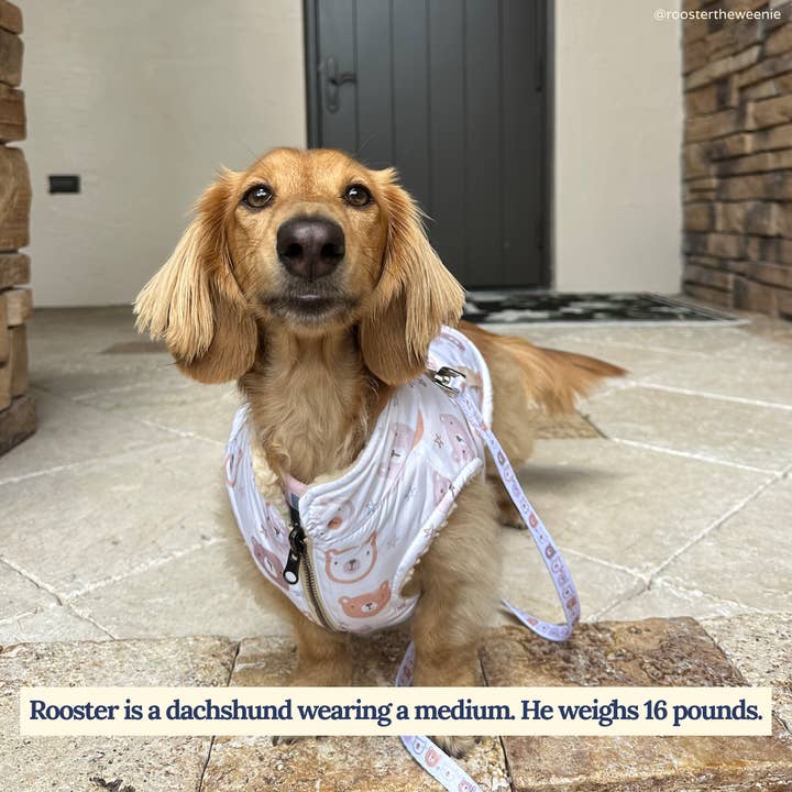 Lucy & Co. – Engroshandel Vest - Hund – Uudholdeligt sød vendbar teddyvest1