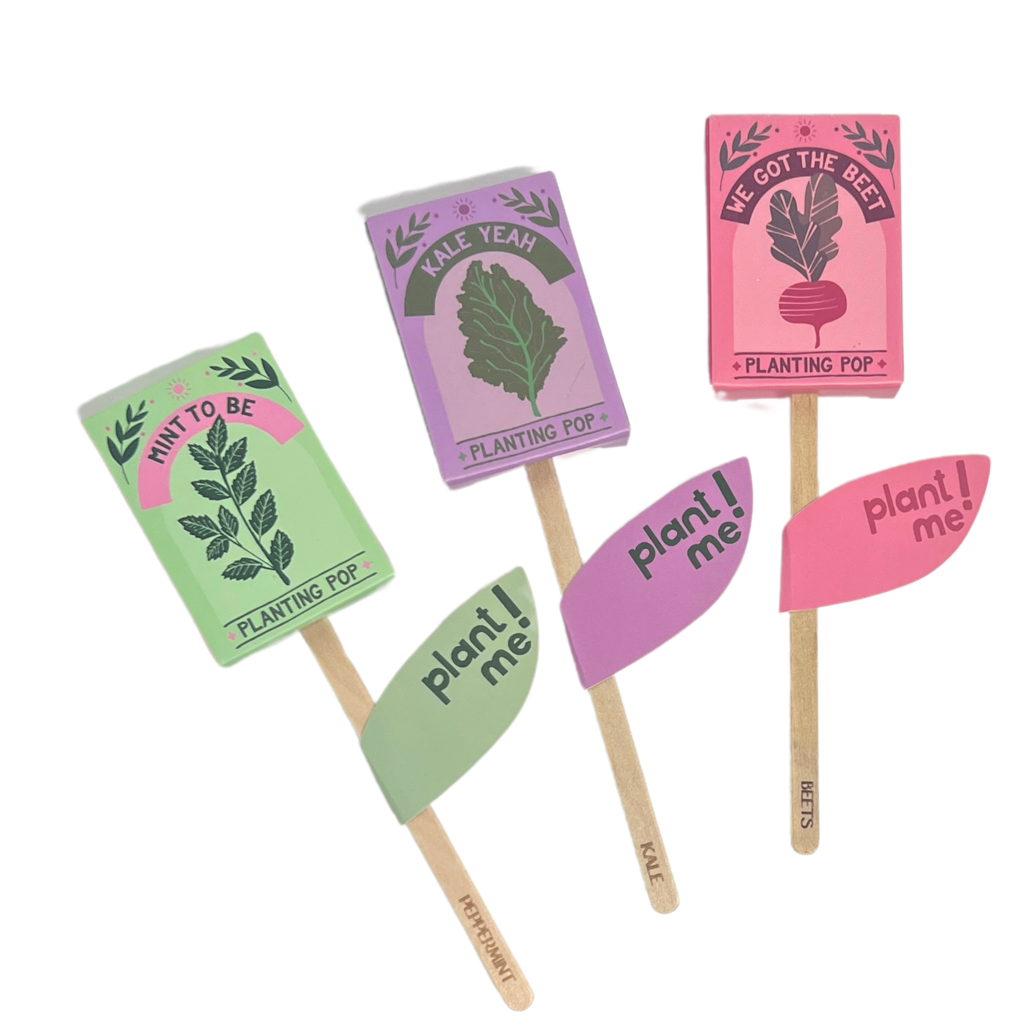 Sow the Magic - Wholesale Plant Seeds - Mint To Be 💚 Garden + Gift Seed Planting Pop4