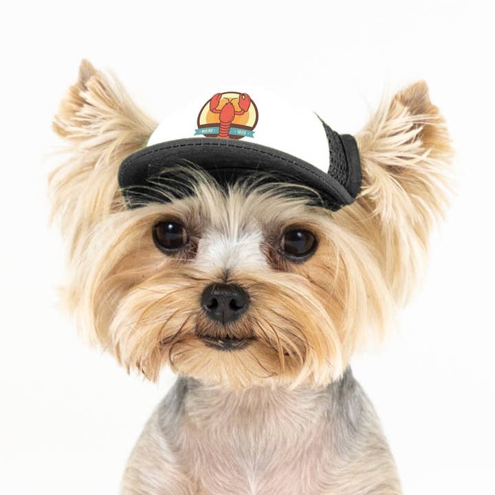PupLid - Wholesale Pet Hat - Dog - Lobster Standard or Namedrop | Trucker Hat for Dogs16