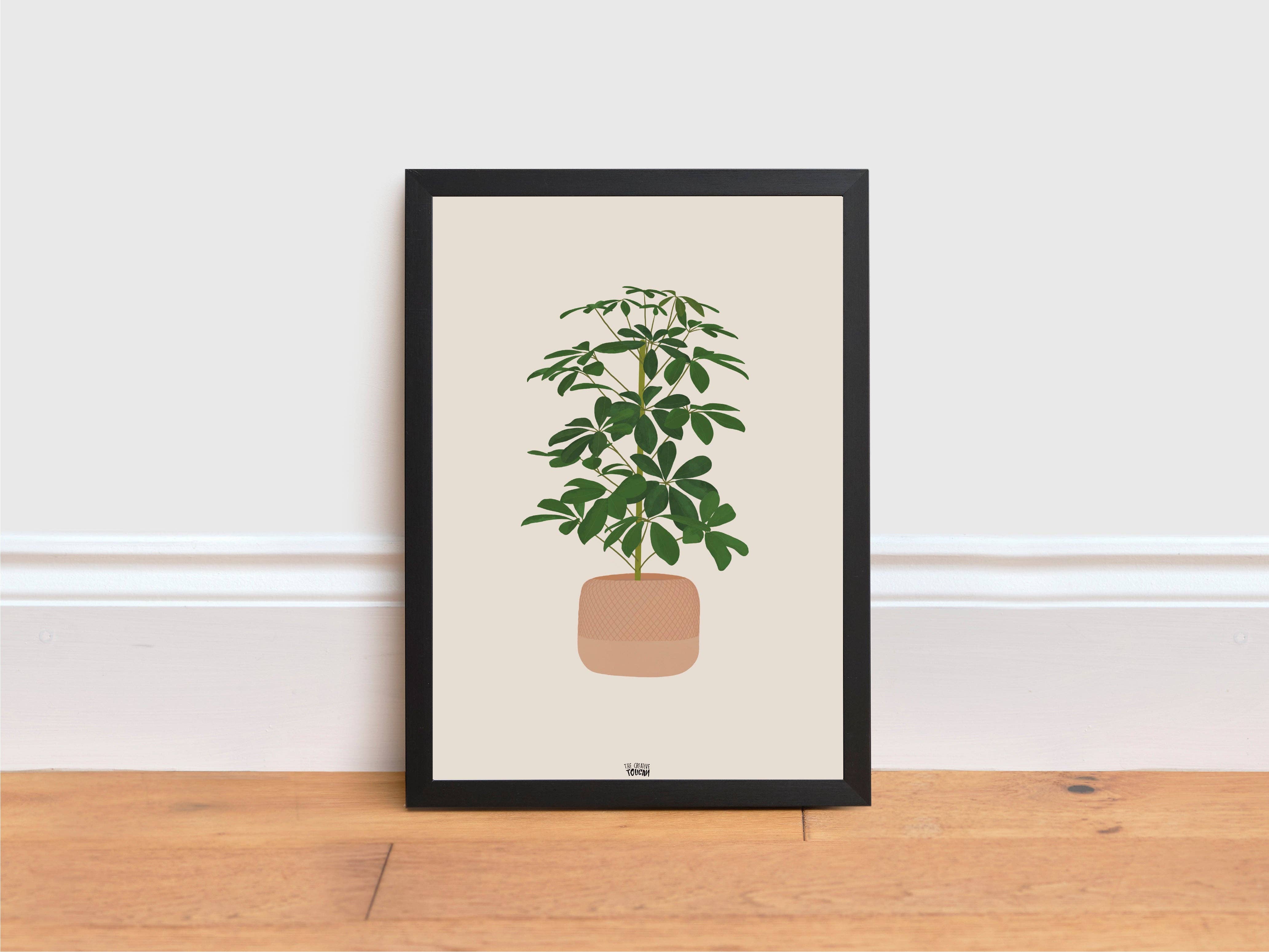 The Creative Toucan ltd - Wholesale Art Print - Schefflera Plant Print1