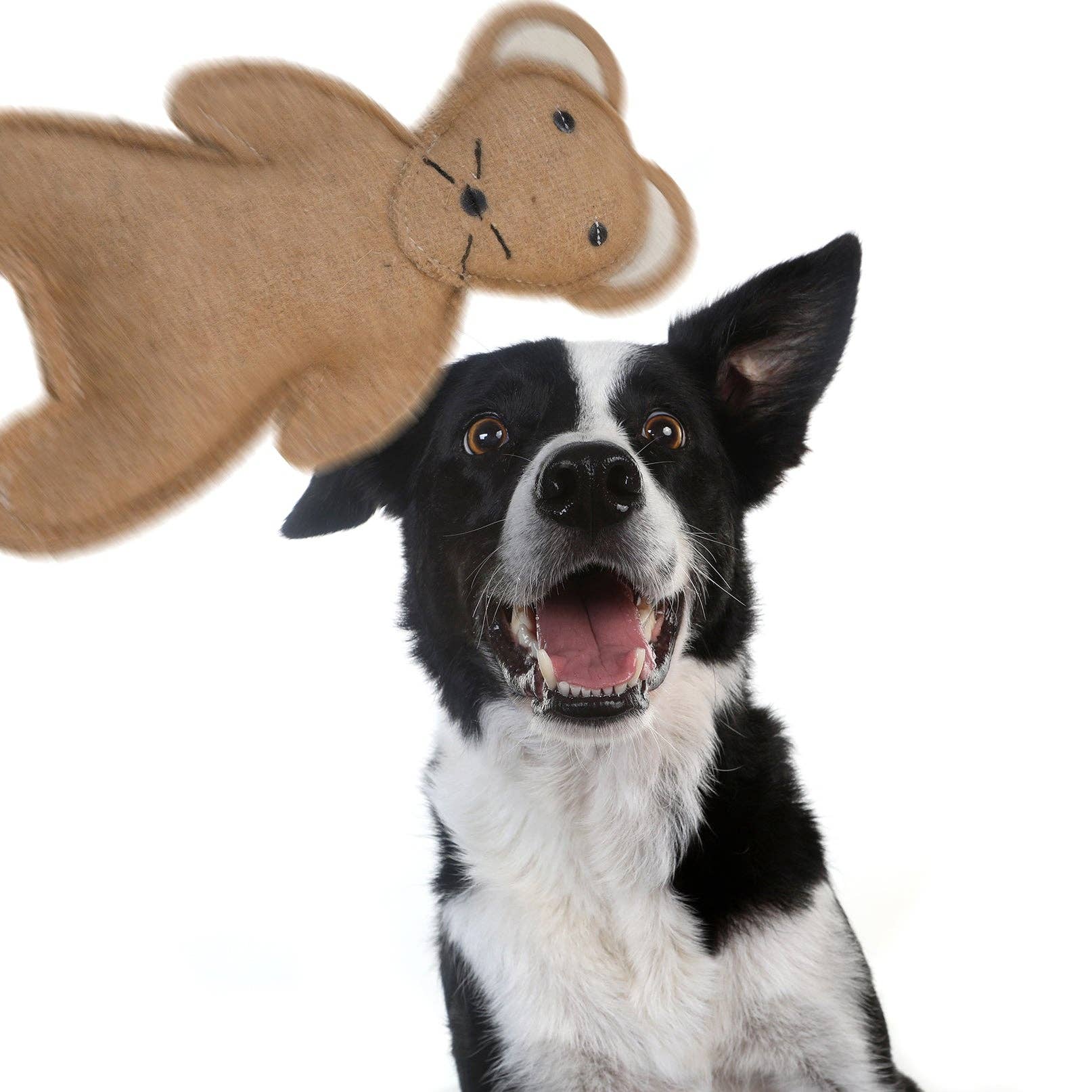 Outback Tails - Wholesale Kauwspeeltje voor honden - Hond - Country Tails Mouse kauwspeeltje1