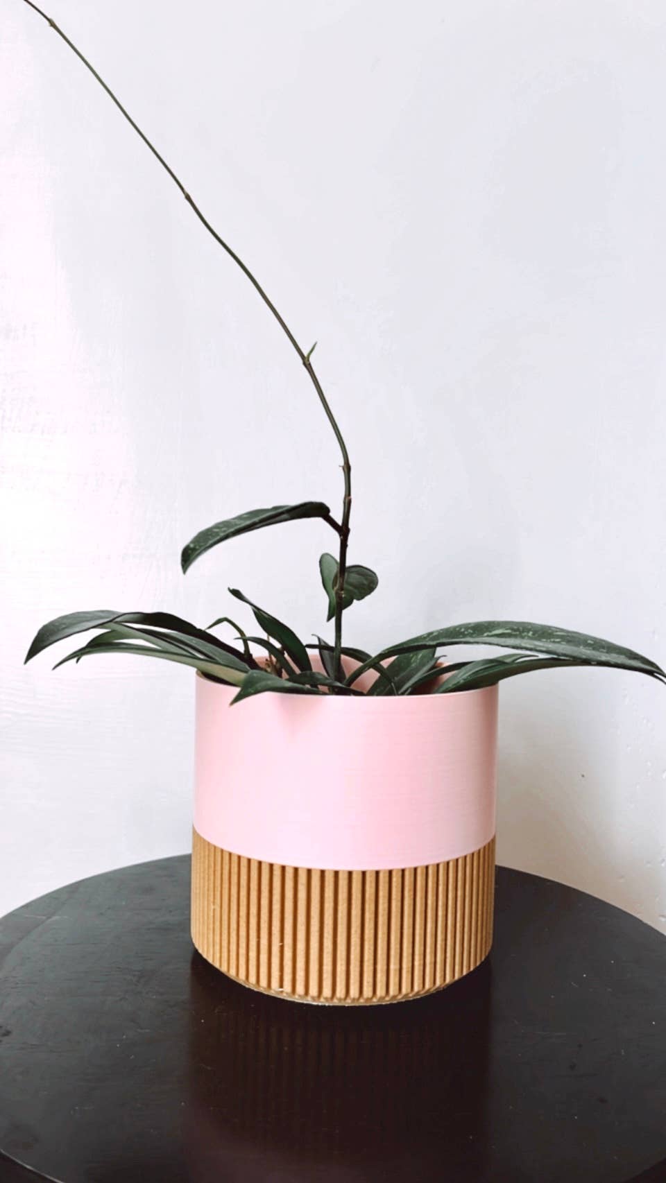 Prairie City Printing Co. – wholesale Kruka – Tvåfärgad trä- och färgkruka14