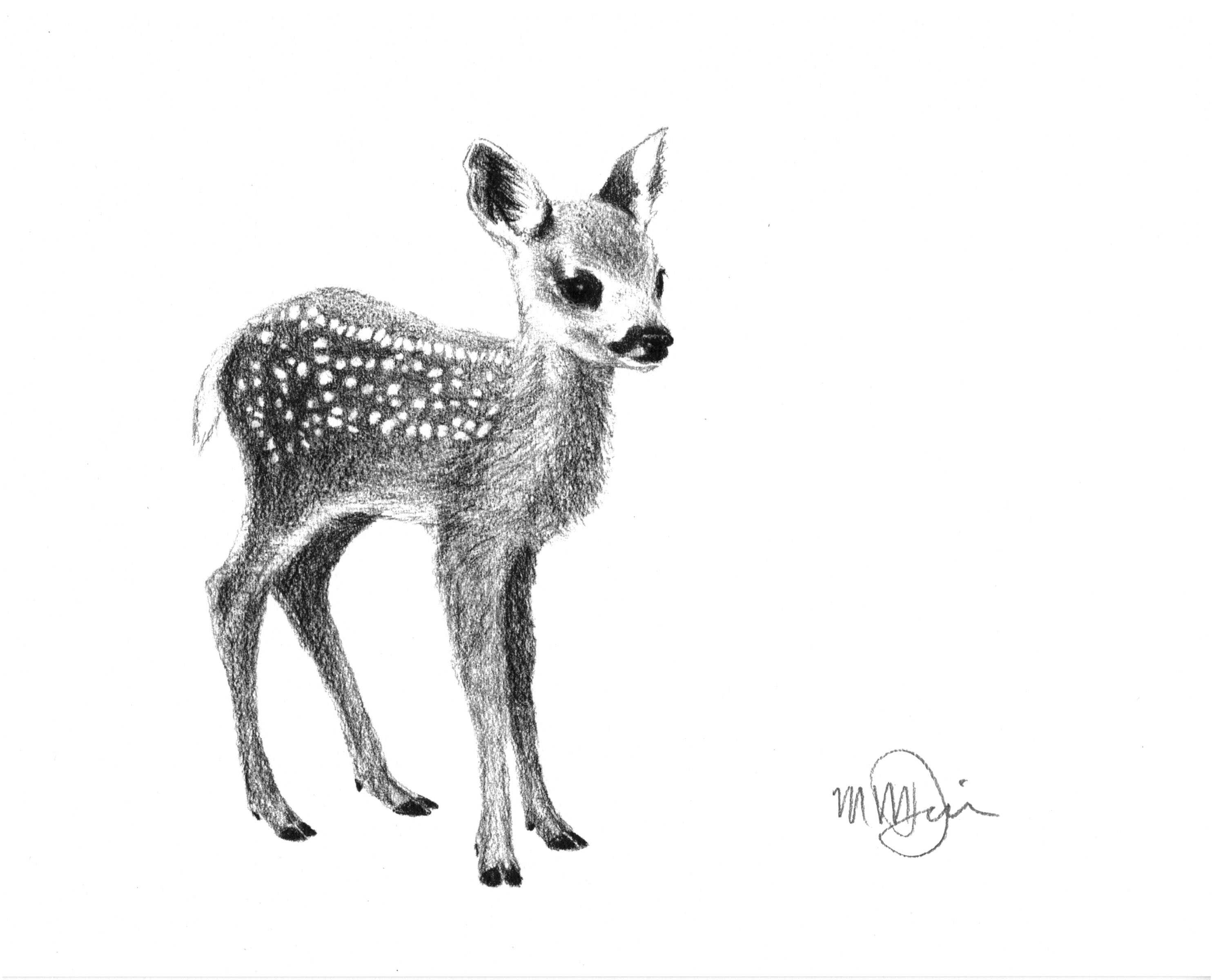 LE NID atelier - Wholesale Baby Card - Baby Deer Greeting Card2