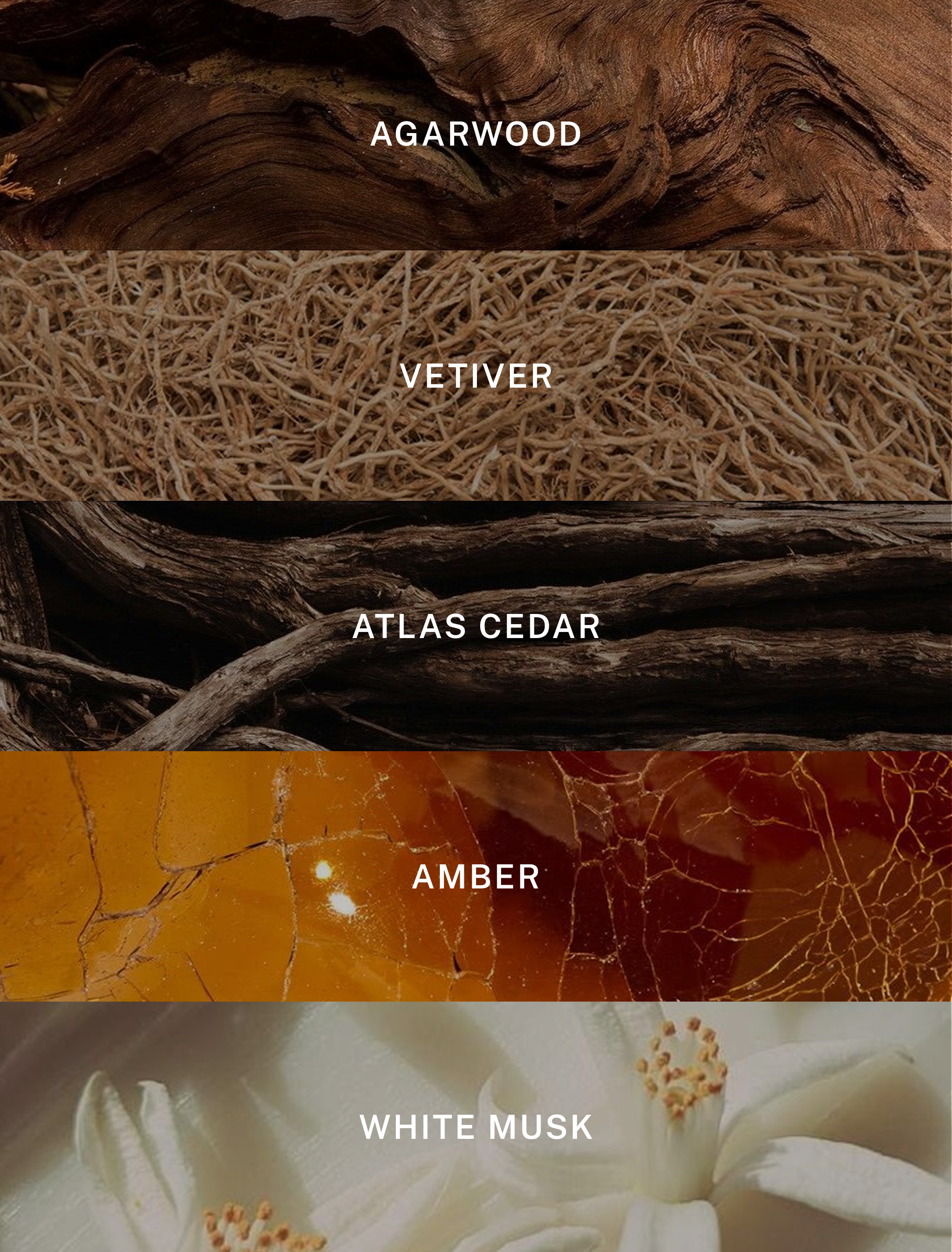 Hotel Lobby Candle - Wholesale Jar/Filled Candle - Signature - Luxury Soy Candle - 9.75 oz1