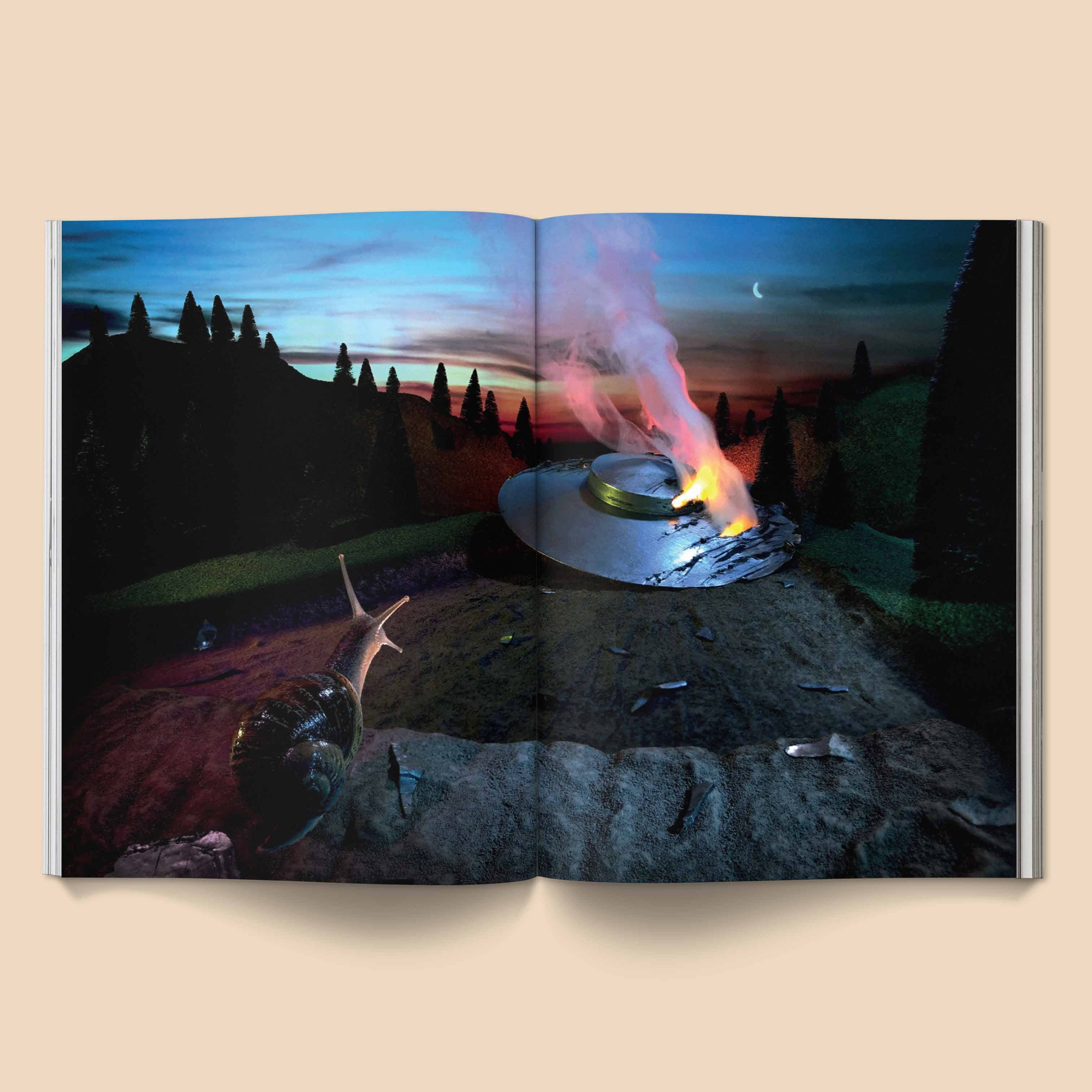 Broccoli - Wholesale Fantasy - Snail World 2: Welcome to Slimetown Coffee Table Book5