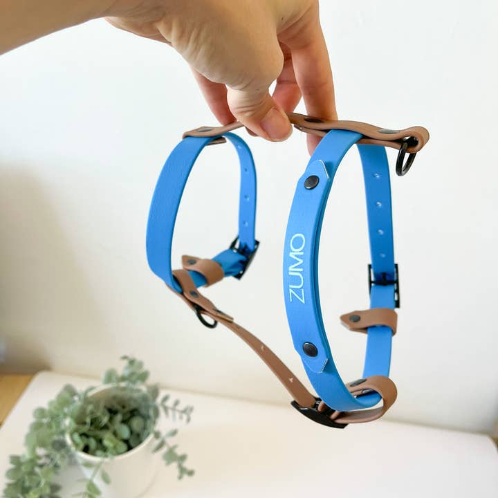 Kina Dogs - Vente Harnais – chien - Harnais personnalisable en PVC2