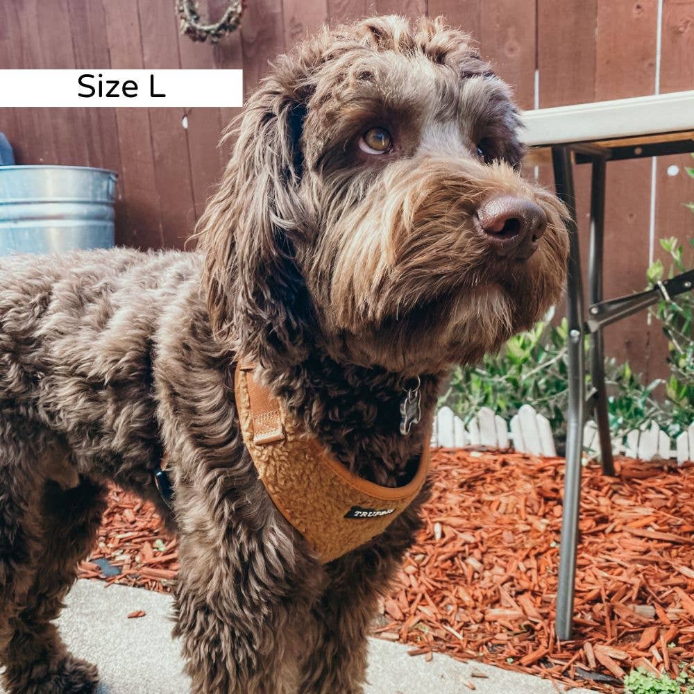 Trufois - Vendita all'ingrosso Pettorina - Cani - Imbracatura Teddy Lite - Cioccolato4