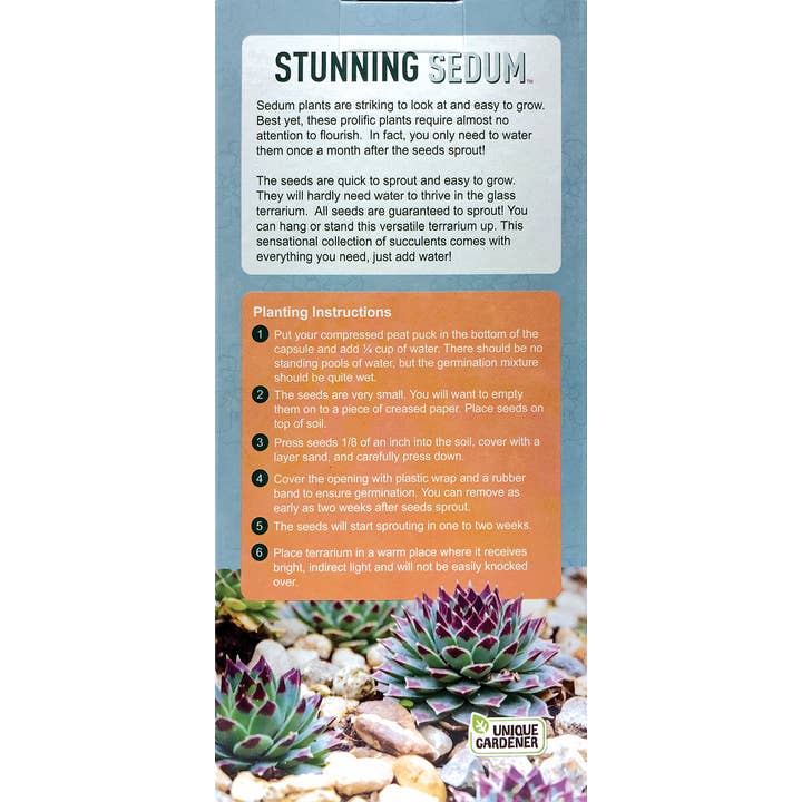Silver Circle Products - Wholesale Terrarium - Stunning Sedum Carefree Capsule Glass Terrarium