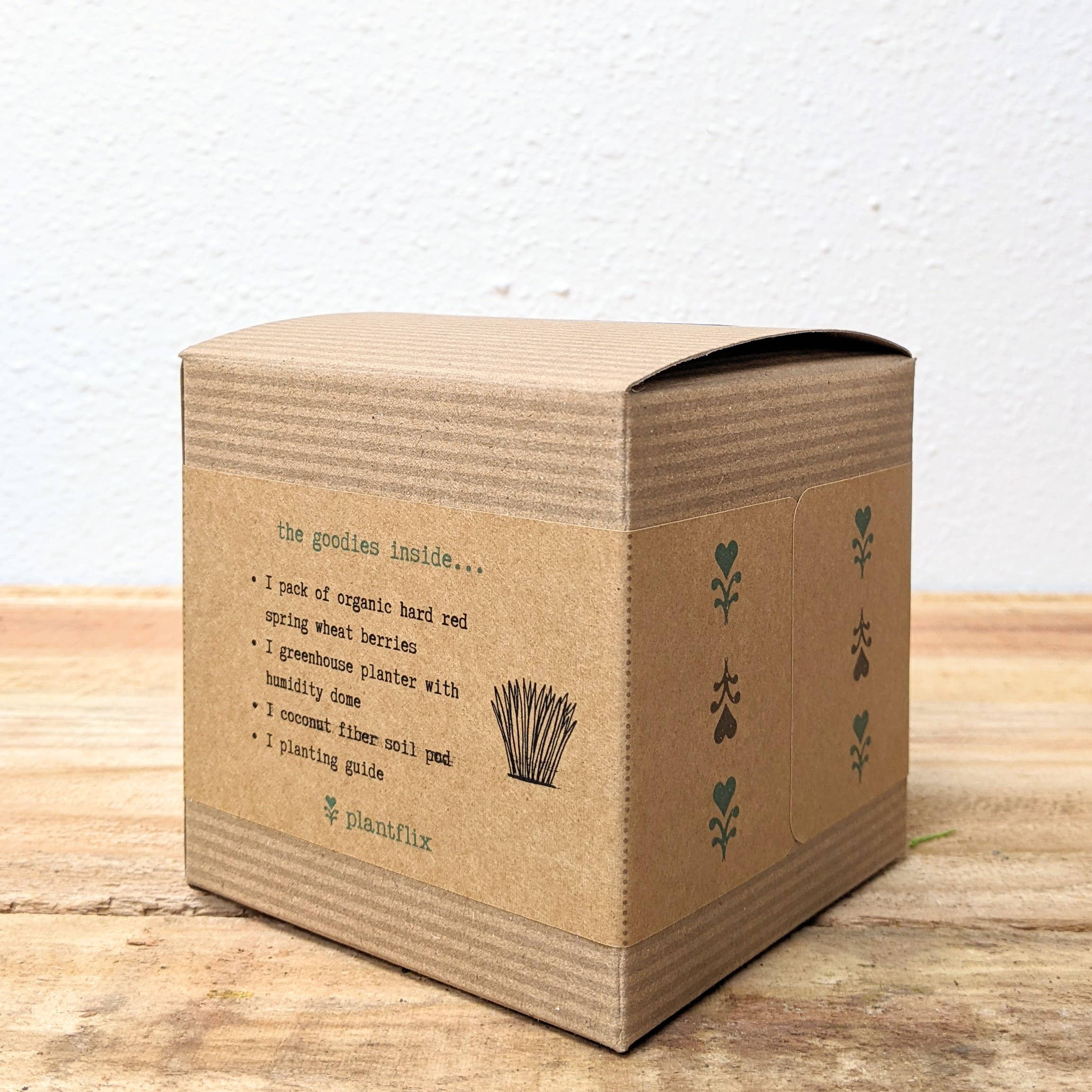 Plantflix - Wholesale Plant Seeds - Pet Garden Seed Kits1