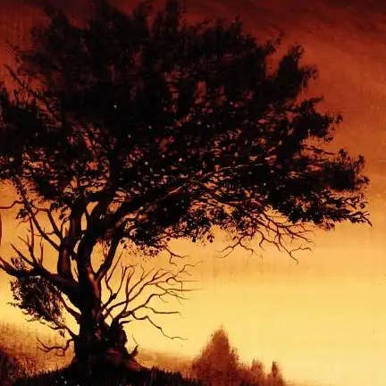 Books by splitShops - Wholesale Fantasy - The Dreamer - Paperback